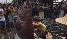 渔民觉醒最新爆料贴吧,揭秘海洋生态危机背后的惊人真相！