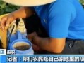 娱乐吃瓜直播怎样加入,揭秘娱乐吃瓜直播的加入之道
