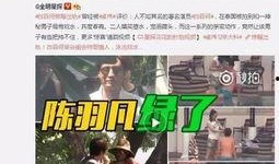 十三哥爆料郝振东视频播放,郝振东视频播放背后的惊人真相