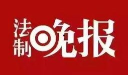 温州法律新闻爆料,聚焦最新案件与法律动态