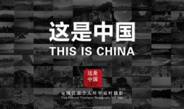 中国环在线观看,探索绿色发展的中国故事