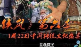 侠岚第四季在线观看