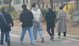 南充网红吃瓜事件,一场网络狂欢背后的真相与反思