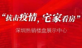 早安爆料深圳新闻网最新,早安爆料，最新资讯速递