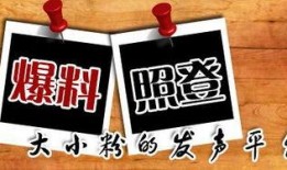 新闻自助爆料平台,打造透明社会新窗口